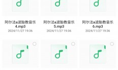阿尔法胎教音乐360首(花费2980在小红书买来的珍贵资源)
