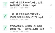 车载音乐 DJ串烧劲爆歌曲三百首