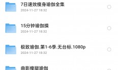 今天刚花999买的11套瑜伽全套课程106G