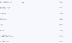 蛮可以，网络新星 车载视频(D]+综艺)