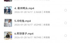 【稀缺资源】100套小吃配方＋创业落地指南视频