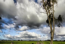 【稀缺资源】你们一直在找的即梦去水印插件