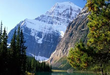 【稀缺资源】你们一直在找的即梦去水印插件