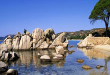 【稀缺资源】你们一直在找的即梦去水印插件